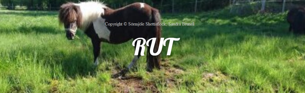 Rut3